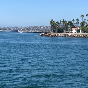 Meet your Posher, Mery